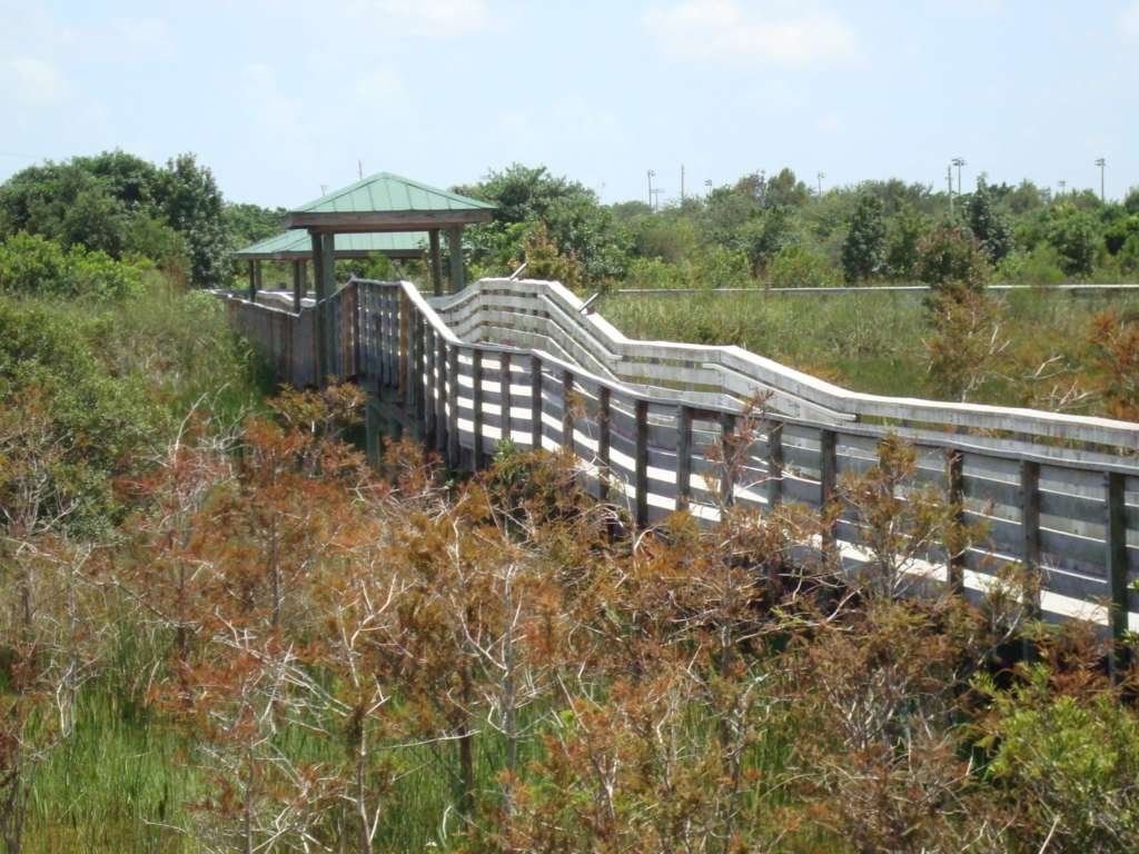 Chapel Trail Nature Preserve